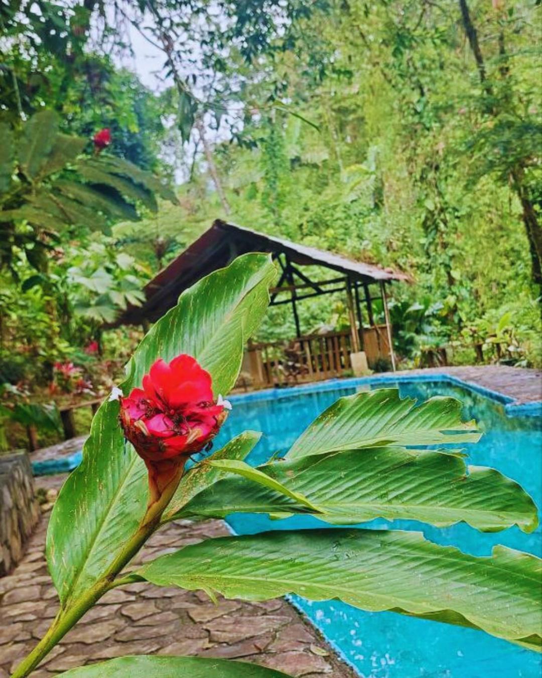 Princesa de la Luna Ecolodge La Fortuna Exterior foto